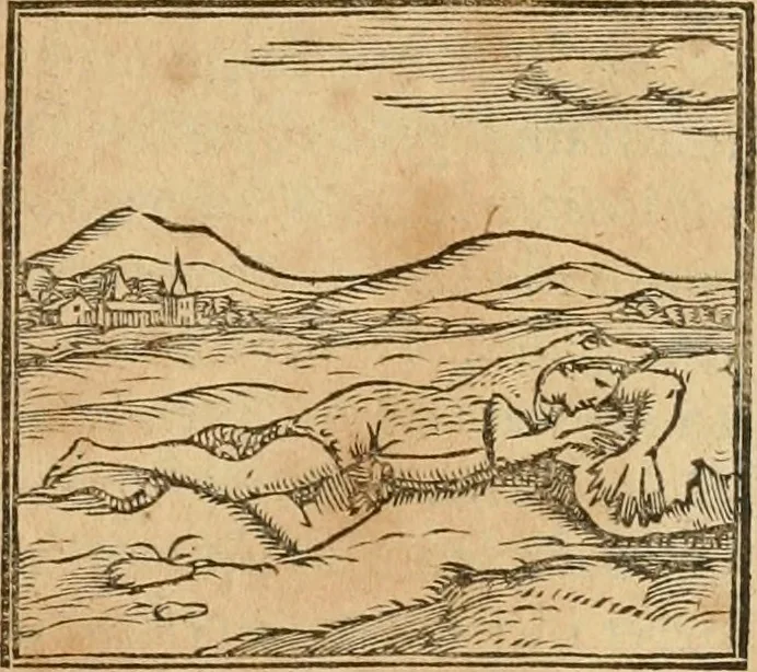 An illustration from Hieroglyphica, sive, De sacris Aegyptiorvm aliarvmqve gentivm literis commentarij, 1575, leaf 518