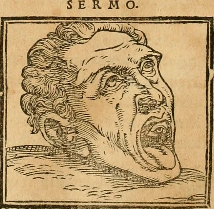 An illustration from Hieroglyphica, sive, De sacris Aegyptiorvm aliarvmqve gentivm literis commentarij, 1575, leaf 519