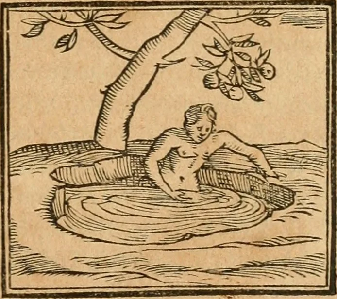 An illustration from Hieroglyphica, sive, De sacris Aegyptiorvm aliarvmqve gentivm literis commentarij, 1575, leaf 522