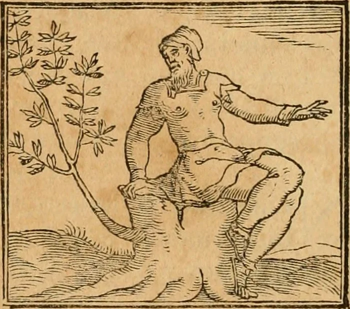 An illustration from Hieroglyphica, sive, De sacris Aegyptiorvm aliarvmqve gentivm literis commentarij, 1575, leaf 525