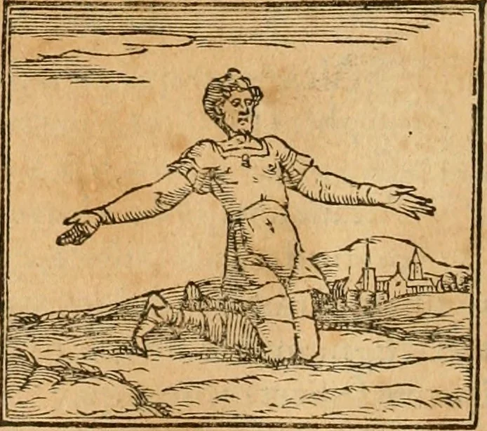 An illustration from Hieroglyphica, sive, De sacris Aegyptiorvm aliarvmqve gentivm literis commentarij, 1575, leaf 525