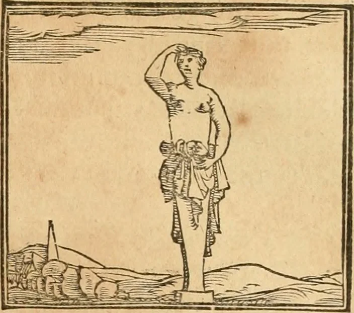 An illustration from Hieroglyphica, sive, De sacris Aegyptiorvm aliarvmqve gentivm literis commentarij, 1575, leaf 528