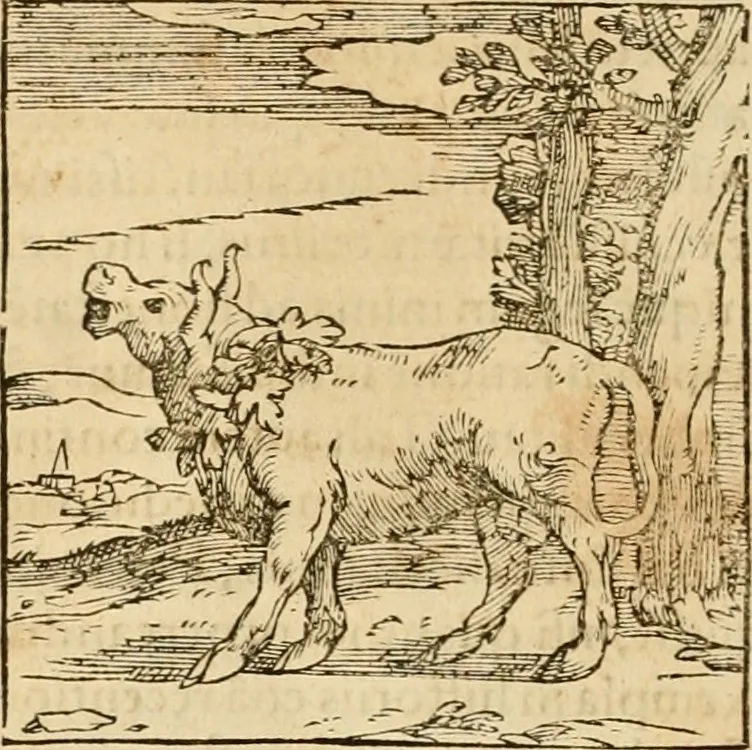 An illustration from Hieroglyphica, sive, De sacris Aegyptiorvm aliarvmqve gentivm literis commentarij, 1575, leaf 55