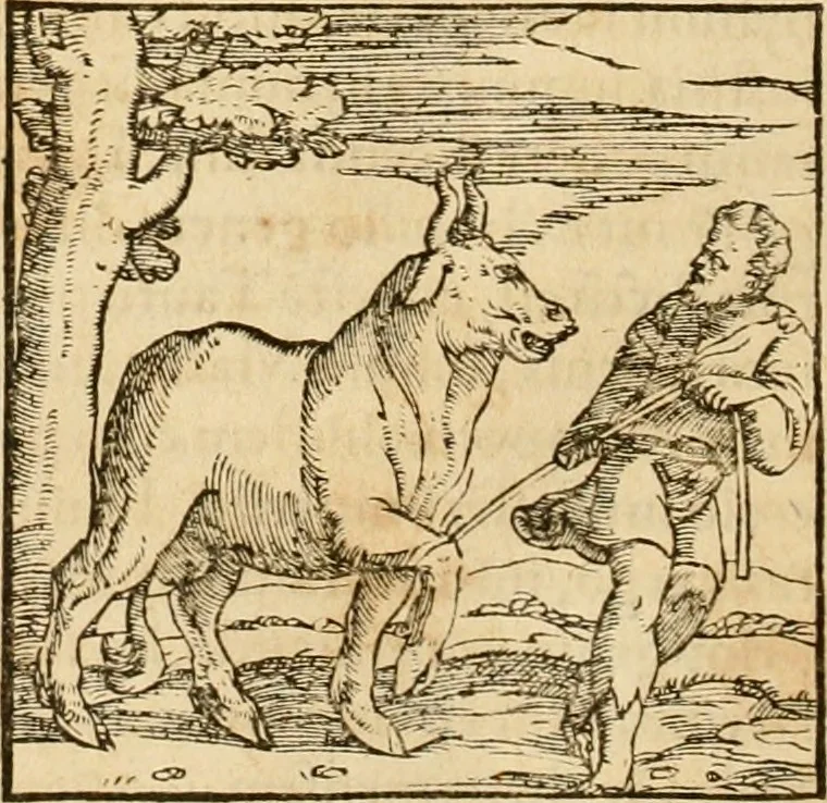 An illustration from Hieroglyphica, sive, De sacris Aegyptiorvm aliarvmqve gentivm literis commentarij, 1575, leaf 55