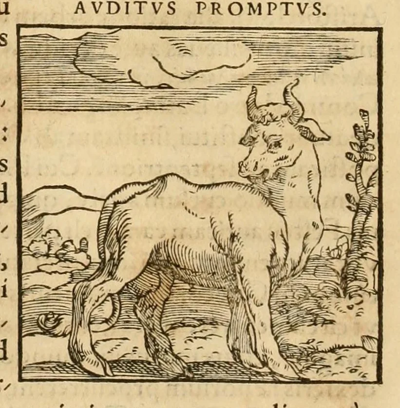 An illustration from Hieroglyphica, sive, De sacris Aegyptiorvm aliarvmqve gentivm literis commentarij, 1575, leaf 58