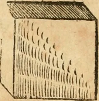 An illustration from Hieroglyphica, sive, De sacris Aegyptiorvm aliarvmqve gentivm literis commentarij, 1575, leaf 592