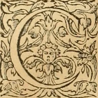 An illustration from Hieroglyphica, sive, De sacris Aegyptiorvm aliarvmqve gentivm literis commentarij, 1575, leaf 609