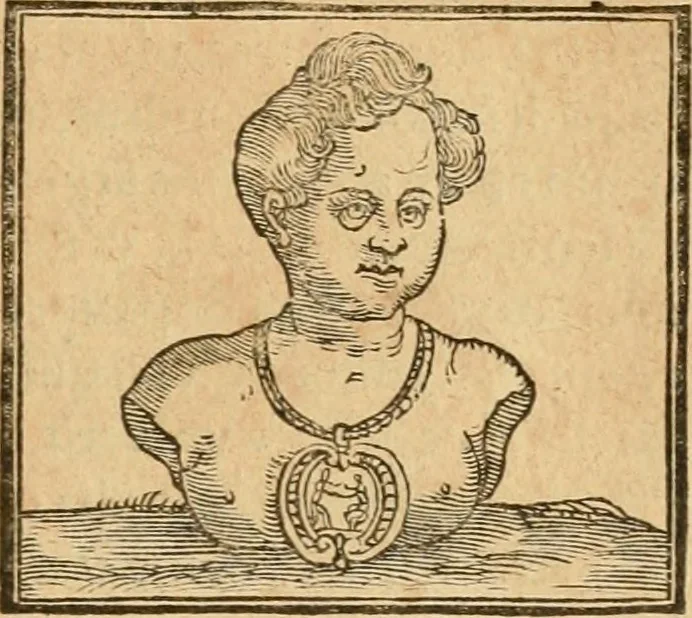 An illustration from Hieroglyphica, sive, De sacris Aegyptiorvm aliarvmqve gentivm literis commentarij, 1575, leaf 610