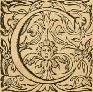 An illustration from Hieroglyphica, sive, De sacris Aegyptiorvm aliarvmqve gentivm literis commentarij, 1575, leaf 624