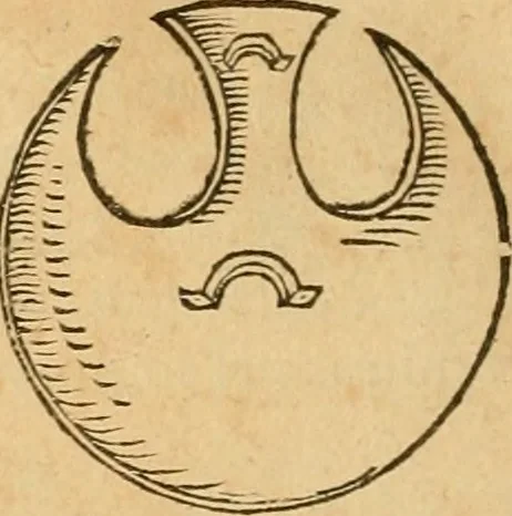 An illustration from Hieroglyphica, sive, De sacris Aegyptiorvm aliarvmqve gentivm literis commentarij, 1575, leaf 633