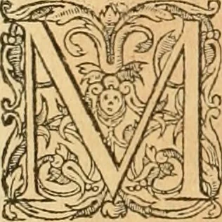 An illustration from Hieroglyphica, sive, De sacris Aegyptiorvm aliarvmqve gentivm literis commentarij, 1575, leaf 645