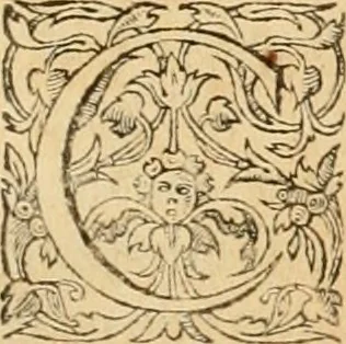 An illustration from Hieroglyphica, sive, De sacris Aegyptiorvm aliarvmqve gentivm literis commentarij, 1575, leaf 660