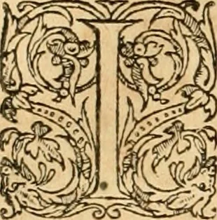 An illustration from Hieroglyphica, sive, De sacris Aegyptiorvm aliarvmqve gentivm literis commentarij, 1575, leaf 701