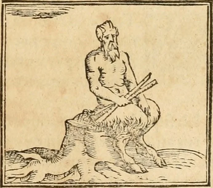 An illustration from Hieroglyphica, sive, De sacris Aegyptiorvm aliarvmqve gentivm literis commentarij, 1575, leaf 706