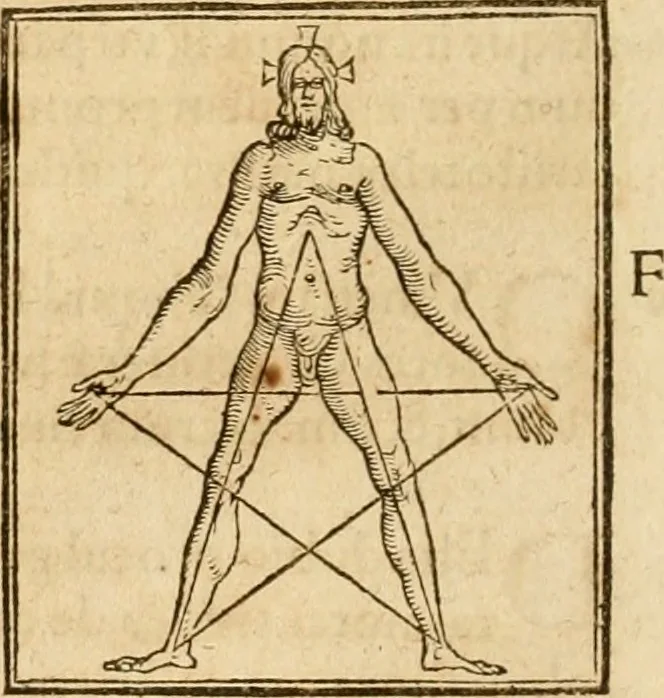 An illustration from Hieroglyphica, sive, De sacris Aegyptiorvm aliarvmqve gentivm literis commentarij, 1575, leaf 711