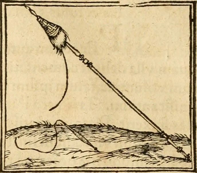 An illustration from Hieroglyphica, sive, De sacris Aegyptiorvm aliarvmqve gentivm literis commentarij, 1575, leaf 721