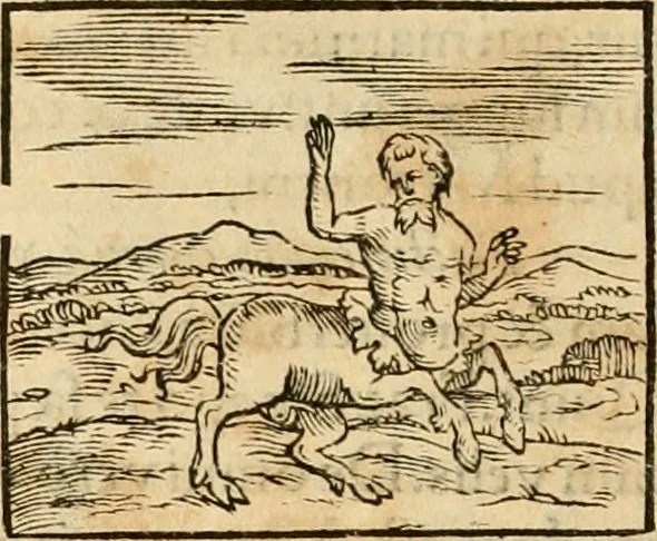An illustration from Hieroglyphica, sive, De sacris Aegyptiorvm aliarvmqve gentivm literis commentarij, 1575, leaf 73