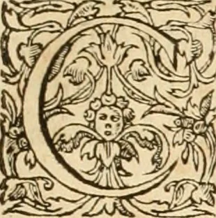 An illustration from Hieroglyphica, sive, De sacris Aegyptiorvm aliarvmqve gentivm literis commentarij, 1575, leaf 730