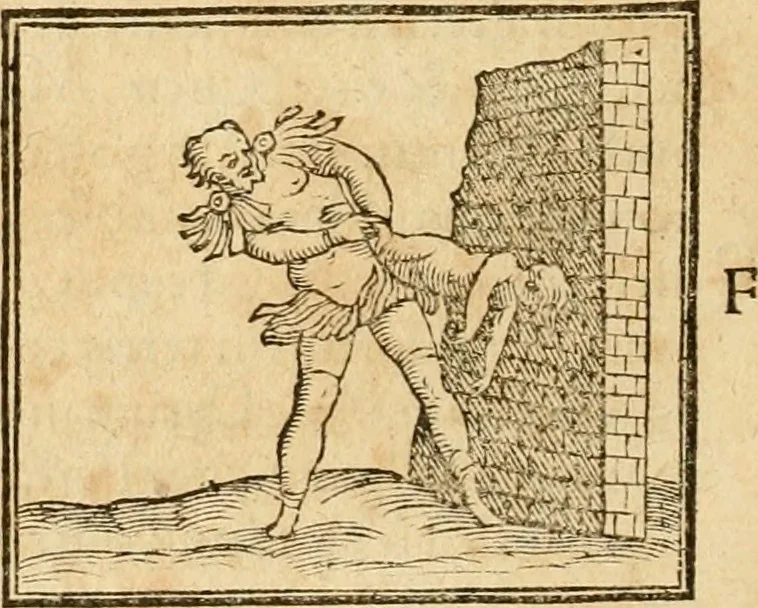 An illustration from Hieroglyphica, sive, De sacris Aegyptiorvm aliarvmqve gentivm literis commentarij, 1575, leaf 733