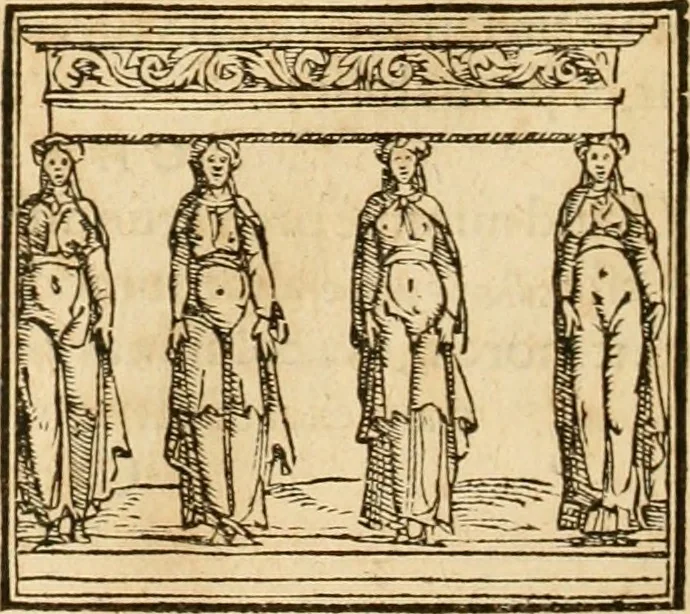 An illustration from Hieroglyphica, sive, De sacris Aegyptiorvm aliarvmqve gentivm literis commentarij, 1575, leaf 741