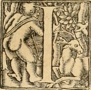 An illustration from Hieroglyphica, sive, De sacris Aegyptiorvm aliarvmqve gentivm literis commentarij, 1575, leaf 758