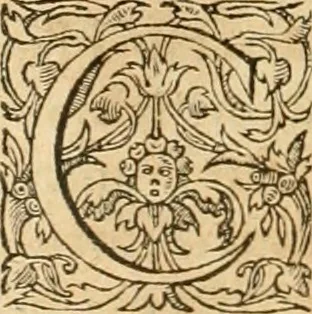 An illustration from Hieroglyphica, sive, De sacris Aegyptiorvm aliarvmqve gentivm literis commentarij, 1575, leaf 767