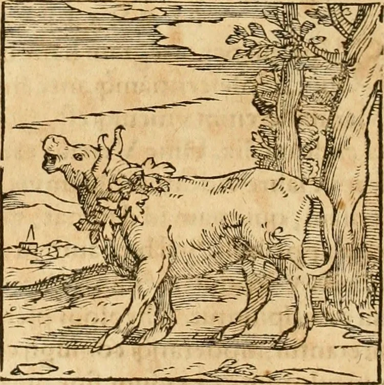 An illustration from Hieroglyphica, sive, De sacris Aegyptiorvm aliarvmqve gentivm literis commentarij, 1575, leaf 775