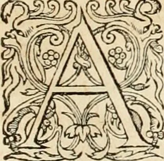 An illustration from Hieroglyphica, sive, De sacris Aegyptiorvm aliarvmqve gentivm literis commentarij, 1575, leaf 806