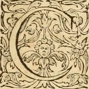 An illustration from Hieroglyphica, sive, De sacris Aegyptiorvm aliarvmqve gentivm literis commentarij, 1575, leaf 816