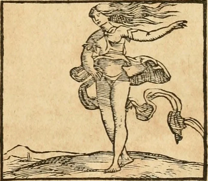 An illustration from Hieroglyphica, sive, De sacris Aegyptiorvm aliarvmqve gentivm literis commentarij, 1575, leaf 818