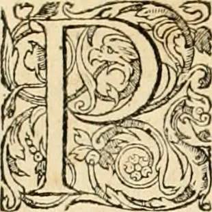 An illustration from Hieroglyphica, sive, De sacris Aegyptiorvm aliarvmqve gentivm literis commentarij, 1575, leaf 859