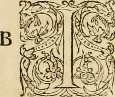 An illustration from Hieroglyphica, sive, De sacris Aegyptiorvm aliarvmqve gentivm literis commentarij, 1575, leaf 86