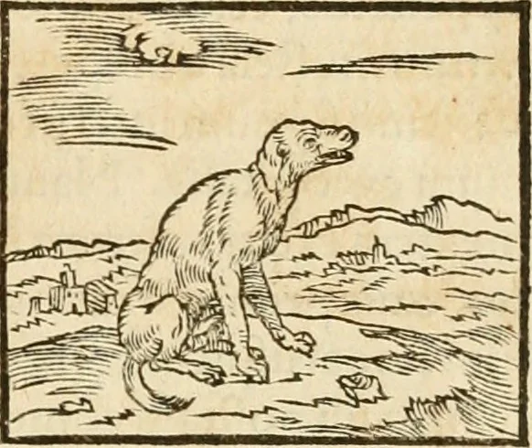 An illustration from Hieroglyphica, sive, De sacris Aegyptiorvm aliarvmqve gentivm literis commentarij, 1575, leaf 86