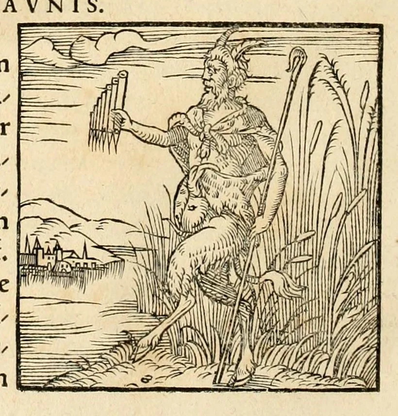 An illustration from Hieroglyphica, sive, De sacris Aegyptiorvm aliarvmqve gentivm literis commentarij, 1575, leaf 860