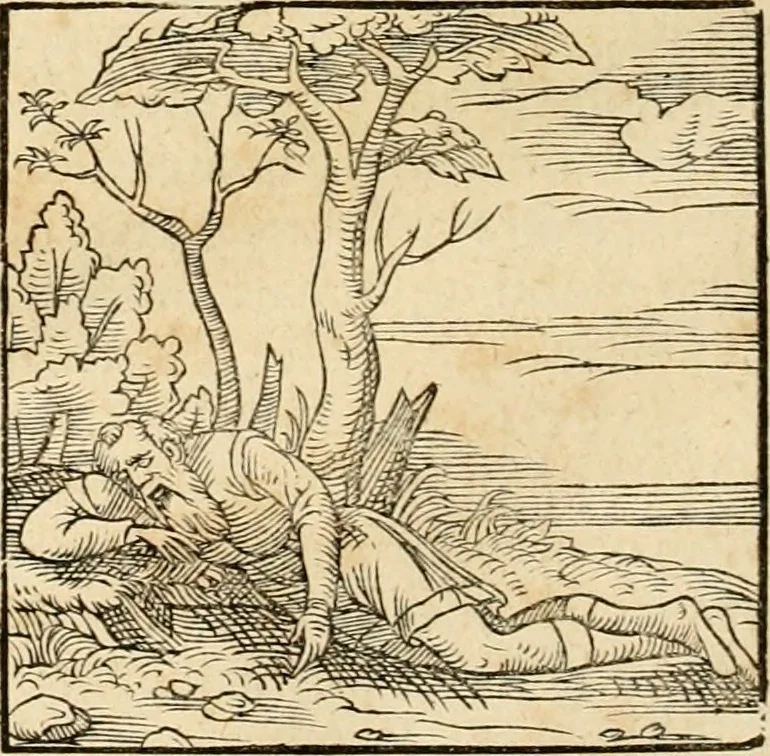 An illustration from Hieroglyphica, sive, De sacris Aegyptiorvm aliarvmqve gentivm literis commentarij, 1575, leaf 861