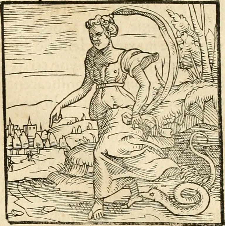 An illustration from Hieroglyphica, sive, De sacris Aegyptiorvm aliarvmqve gentivm literis commentarij, 1575, leaf 876