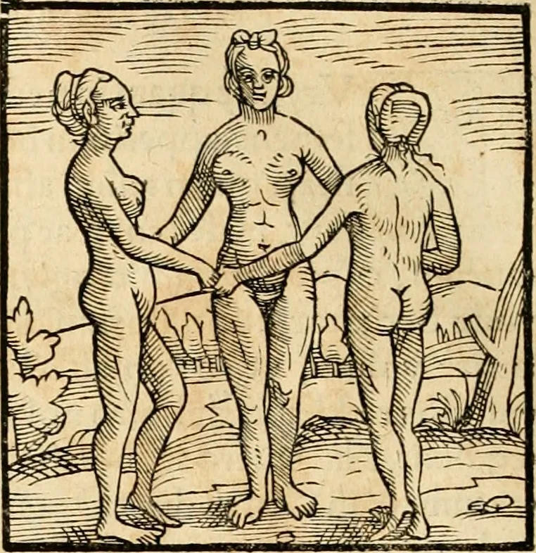 An illustration from Hieroglyphica, sive, De sacris Aegyptiorvm aliarvmqve gentivm literis commentarij, 1575, leaf 877