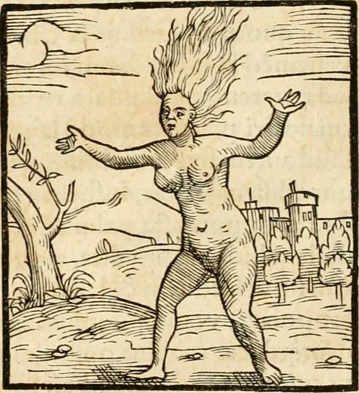 An illustration from Hieroglyphica, sive, De sacris Aegyptiorvm aliarvmqve gentivm literis commentarij, 1575, leaf 878