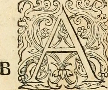 An illustration from Hieroglyphica, sive, De sacris Aegyptiorvm aliarvmqve gentivm literis commentarij, 1575, leaf 880