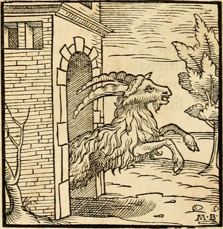 An illustration from Hieroglyphica, sive, De sacris Aegyptiorvm aliarvmqve gentivm literis commentarij, 1575, leaf 881