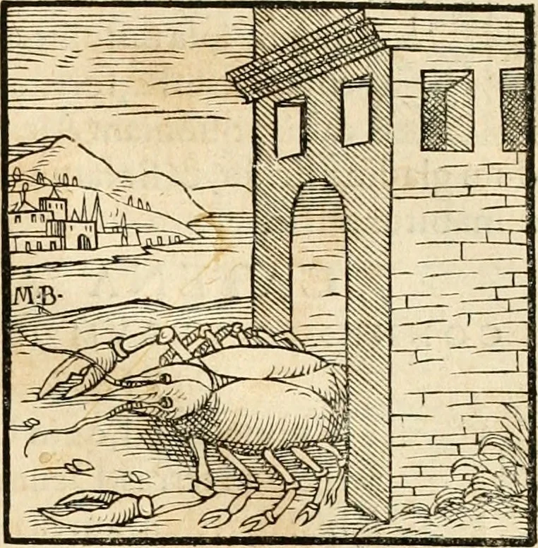 An illustration from Hieroglyphica, sive, De sacris Aegyptiorvm aliarvmqve gentivm literis commentarij, 1575, leaf 882