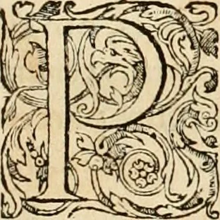 An illustration from Hieroglyphica, sive, De sacris Aegyptiorvm aliarvmqve gentivm literis commentarij, 1575, leaf 884