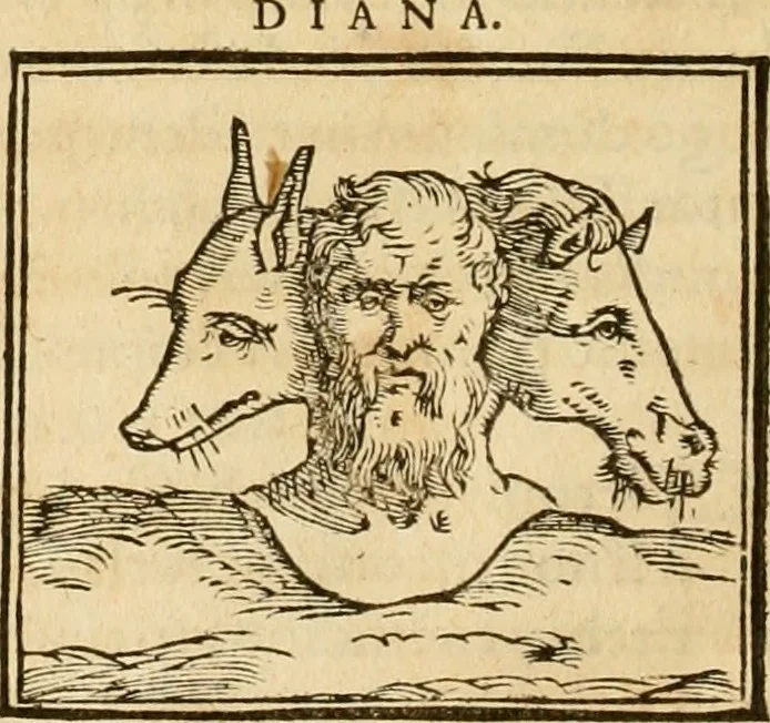An illustration from Hieroglyphica, sive, De sacris Aegyptiorvm aliarvmqve gentivm literis commentarij, 1575, leaf 91