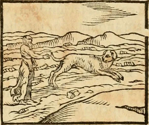 An illustration from Hieroglyphica, sive, De sacris Aegyptiorvm aliarvmqve gentivm literis commentarij, 1575, leaf 93