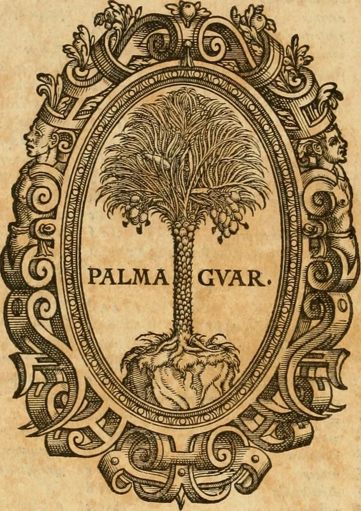 An illustration from Hieroglyphica, sive, De sacris Aegyptiorvm aliarvmqve gentivm literis commentarij, 1575, leaf 941