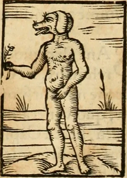 An illustration from Hieroglyphica, sive, De sacris Aegyptiorvm aliarvmqve gentivm literis commentarij, 1575, leaf 97