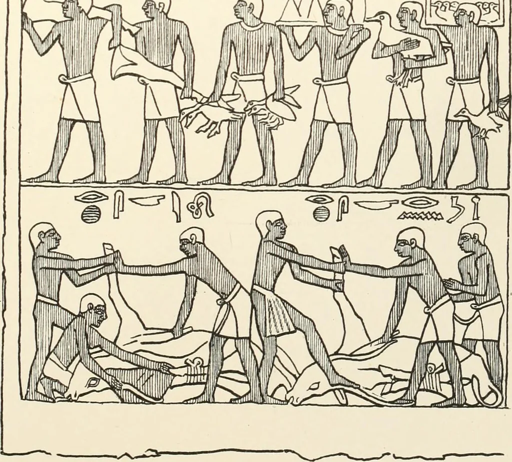 An illustration from Hieroglyphic texts from Egyptian stelae, etc, 1911, leaf 24