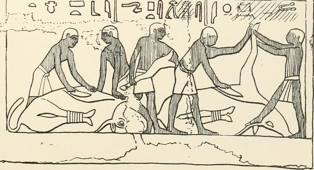 An illustration from Hieroglyphic texts from Egyptian stelae, etc, 1911, leaf 28