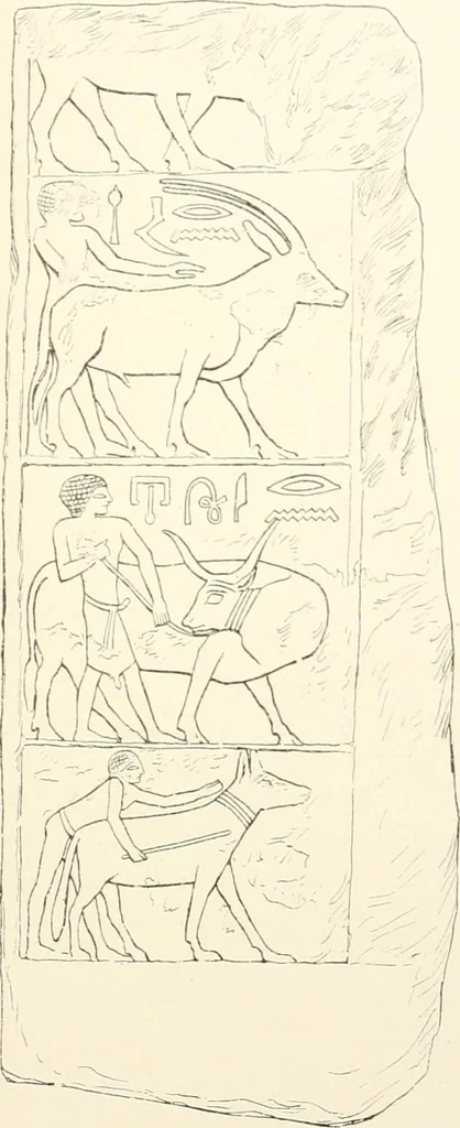 An illustration from Hieroglyphic texts from Egyptian stelae, etc, 1911, leaf 40