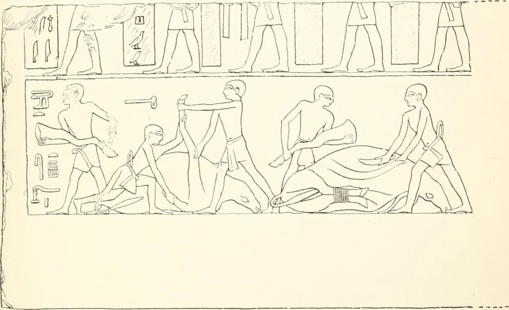 An illustration from Hieroglyphic texts from Egyptian stelae, etc, 1911, leaf 44